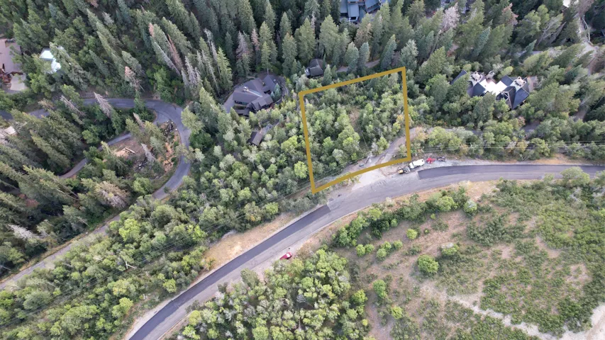 Wooded lot with established trees and a paved road frontage