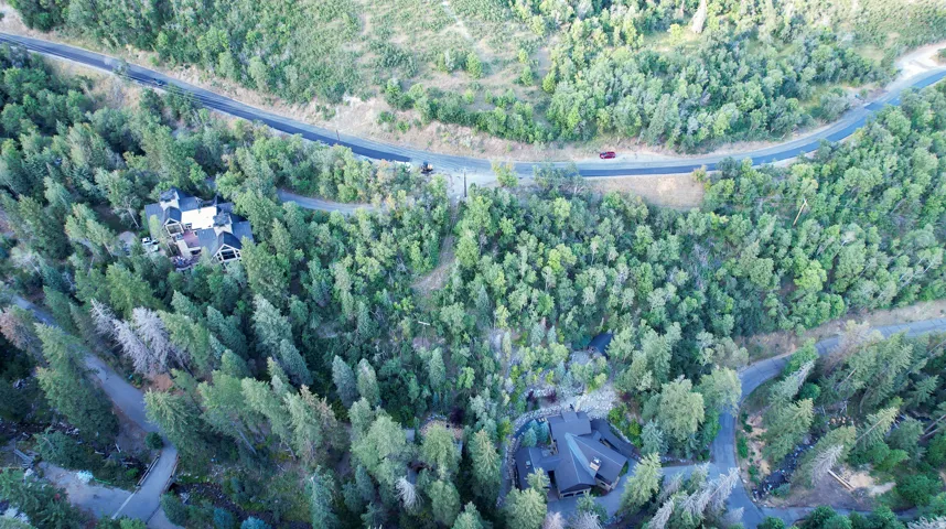 Expansive wooded surroundings with a winding paved road, two distinct residential structures, and a lush, natural landscape