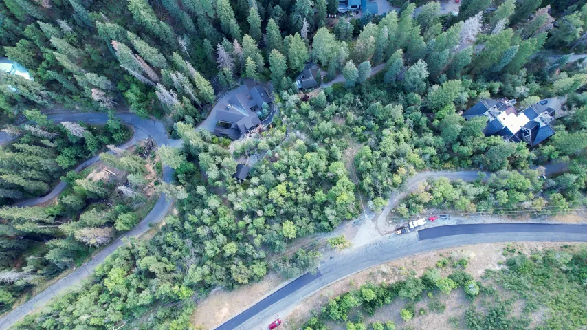 Expansive wooded property featuring a meandering paved road and multiple residences nestled among mature trees