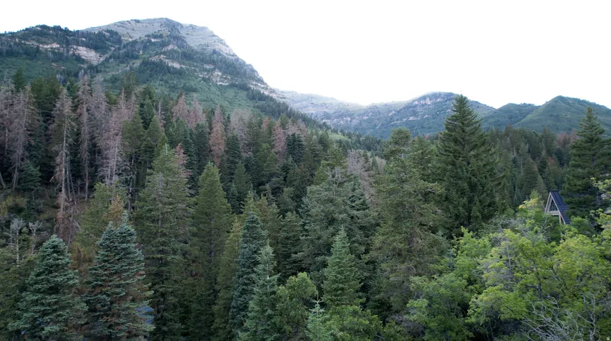 View of Timpanookie from main floor of future home.  A-frame style residence nestled among mature evergreen trees and dense deciduous foliage, set against a backdrop of distant mountains