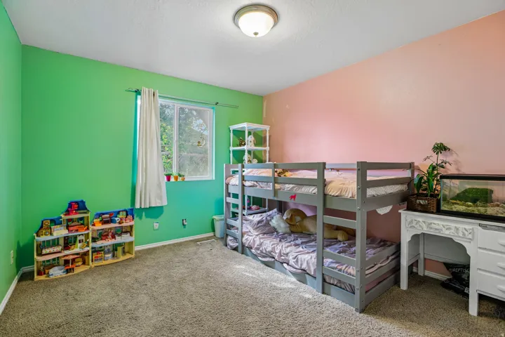 Carpeted flooring, a window with natural light, and a ceiling-mounted light fixture