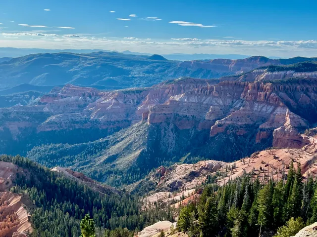Expansive natural landscape featuring a prominent canyon, abundant evergreen trees, and distant mountainous terrain