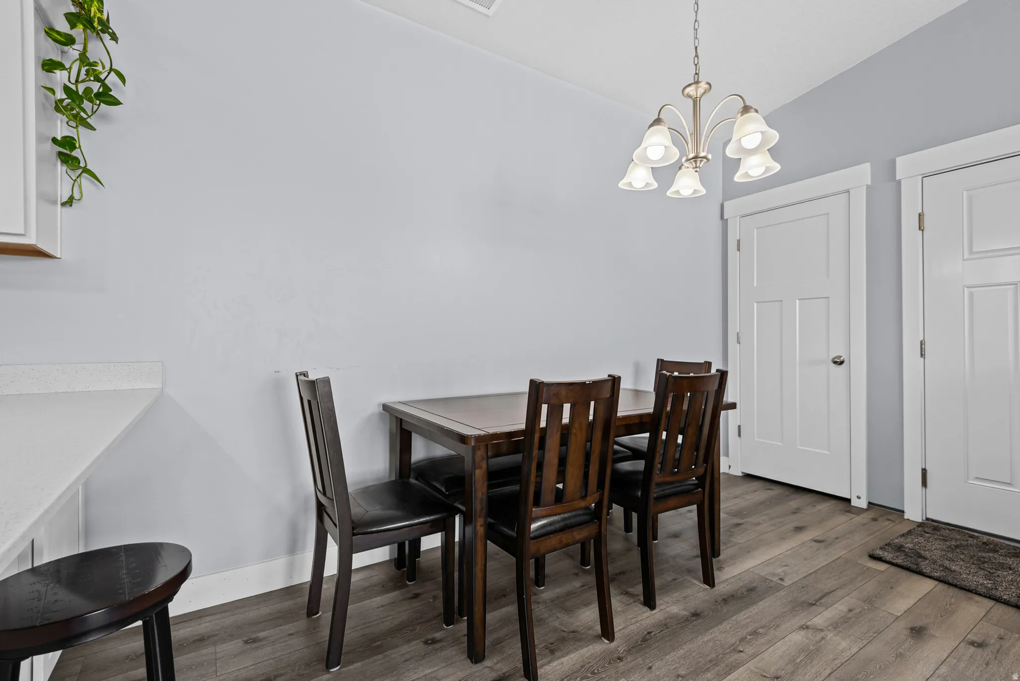Wood-finish flooring, overhead multi-bulb light fixture, white countertop, and contemporary paneled doors