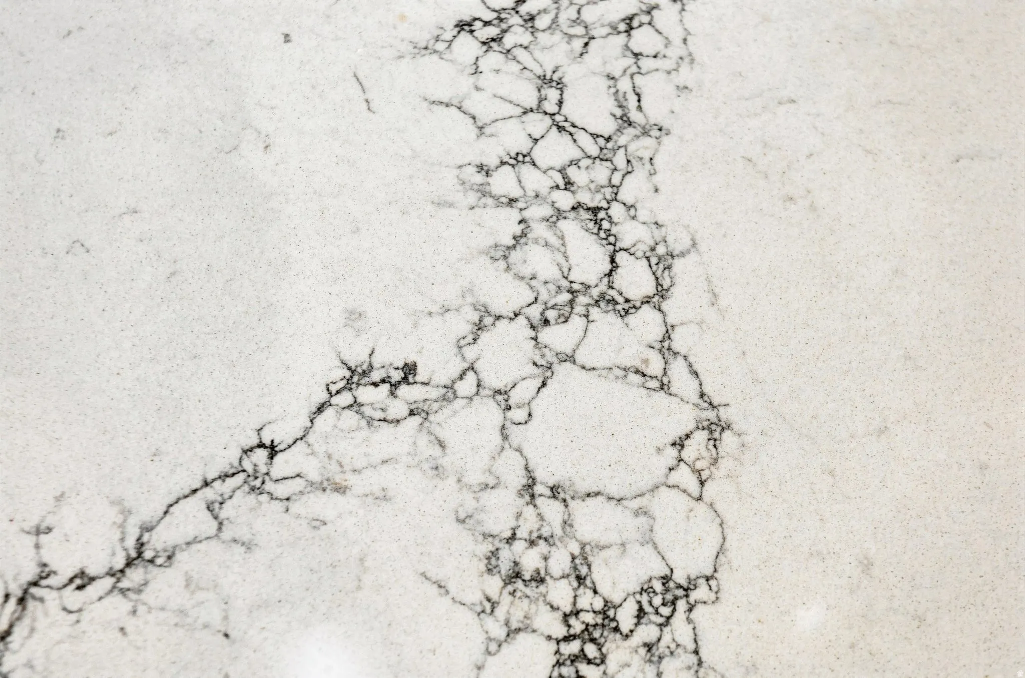 White stone surface featuring distinct dark veining