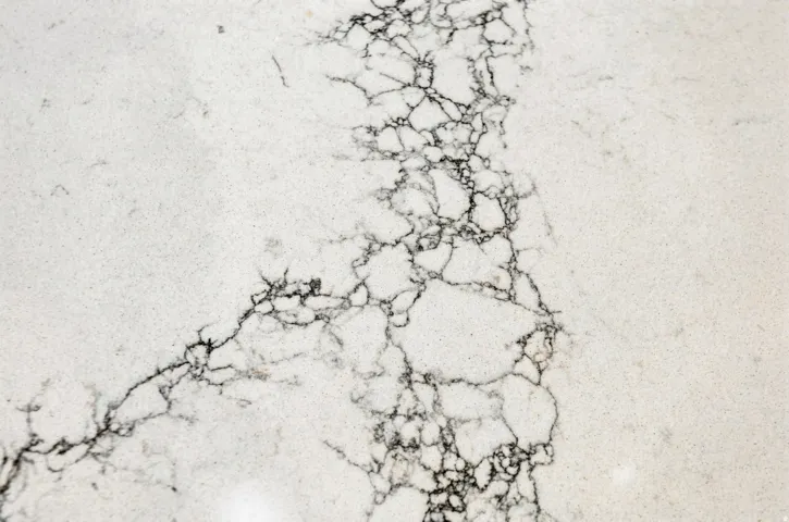 White stone surface featuring distinct dark veining