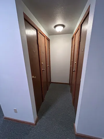 Hallway with wood-finish doors, wall-mounted light fixture, and carpeted flooring