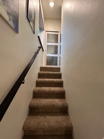Carpeted staircase with a dark handrail leading to a door with frosted glass panels, illuminated by an overhead light fixture