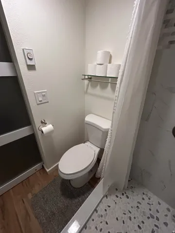 Bathroom featuring wood-finish flooring, a white toilet, and a shower with pebble-style floor tiles and a light-toned wall surround
