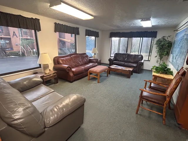 Expansive room with large windows, light green carpeting, and overhead fluorescent lighting