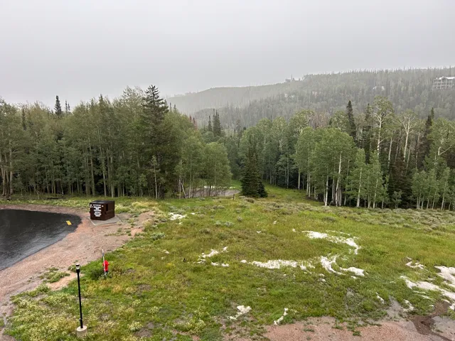 Expansive natural landscape with varied terrain, featuring dense evergreen and deciduous trees, and a paved surface with a drain
