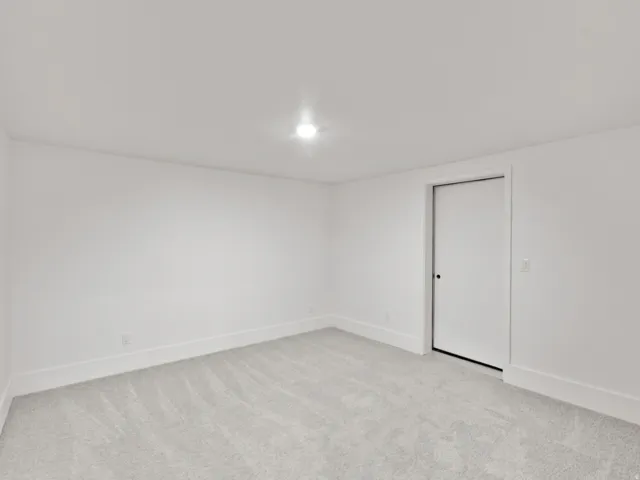 Recessed ceiling light, wall-to-wall carpeting, and white trim