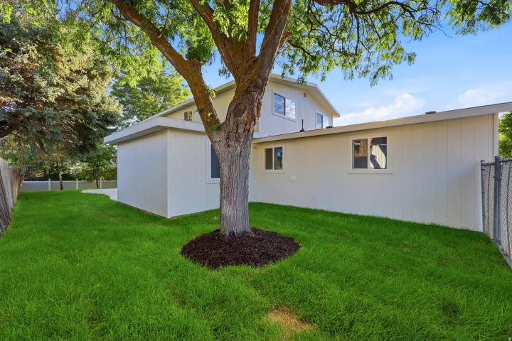 Expansive green lawn with mature tree, vertical siding exterior, and multiple windows