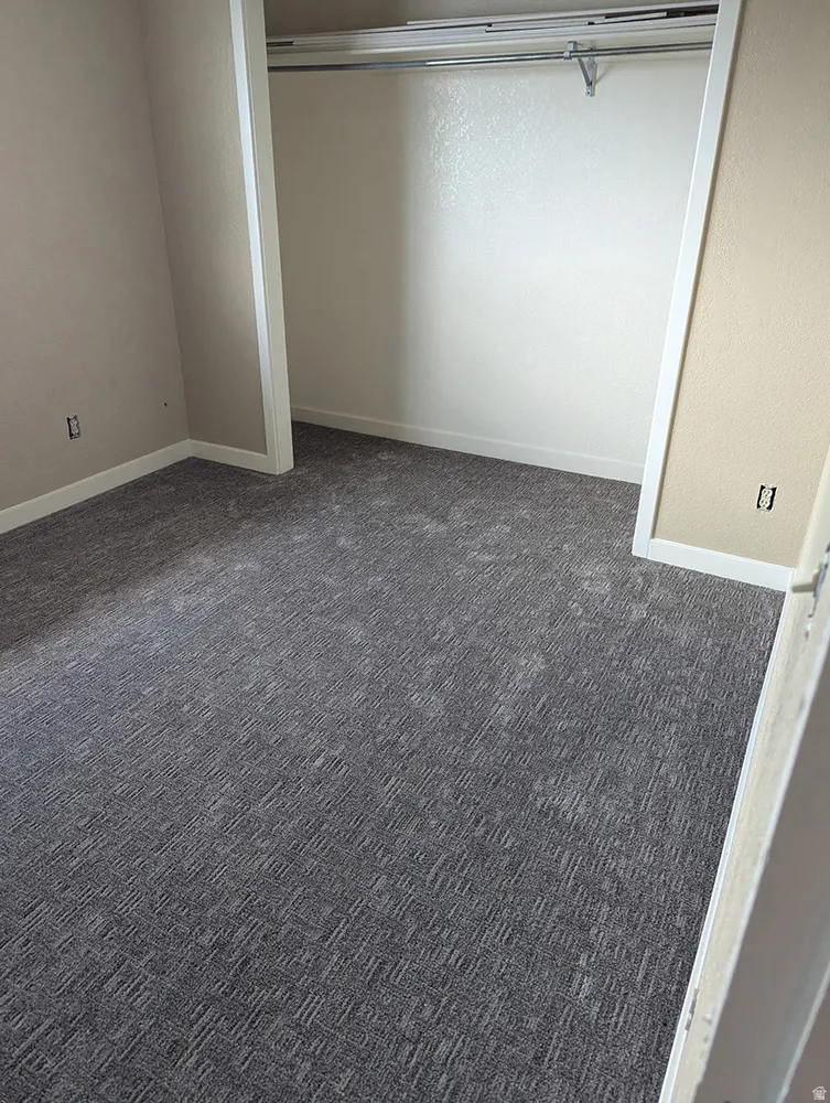 Wall-to-wall patterned carpeting, neutral wall finishes, and a built-in closet with shelving and hanging rods