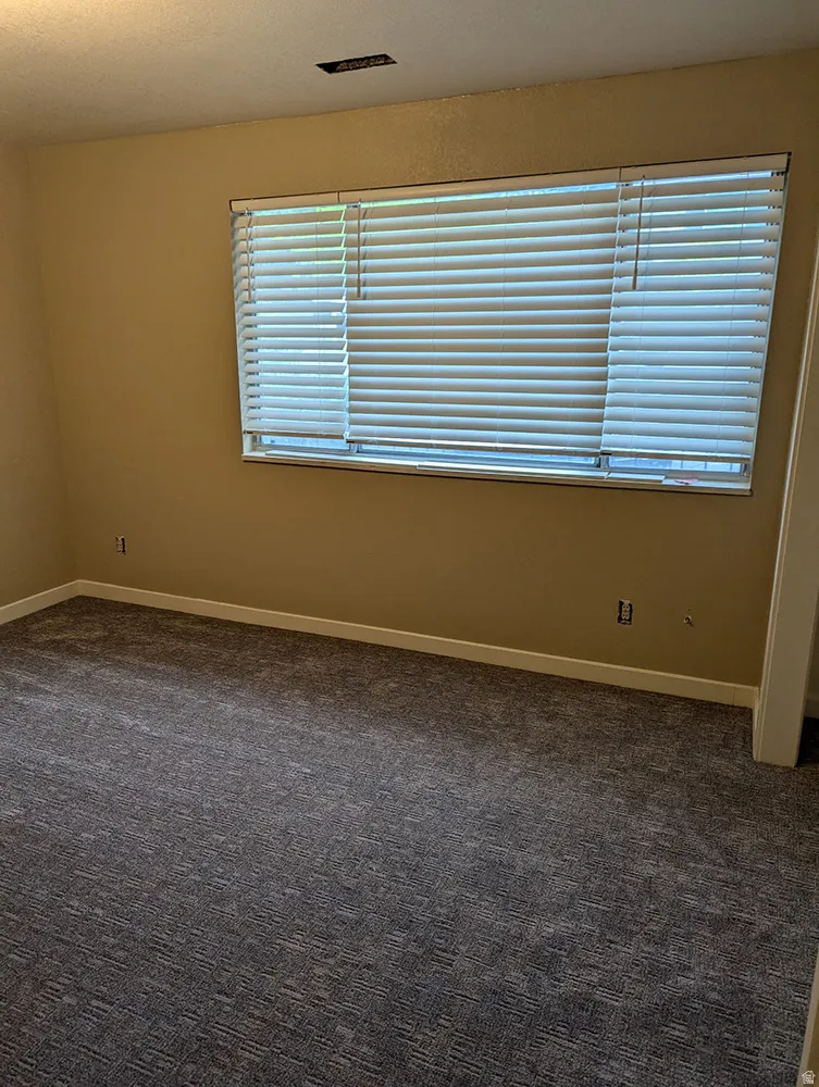 Patterned carpeting, light-toned wall finishes, white trim, and a window with blinds