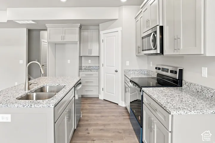 Kitchen featuring light gray cabinetry, stainless steel appliances, speckled stone countertops, a double basin sink, and wood-finish flooring