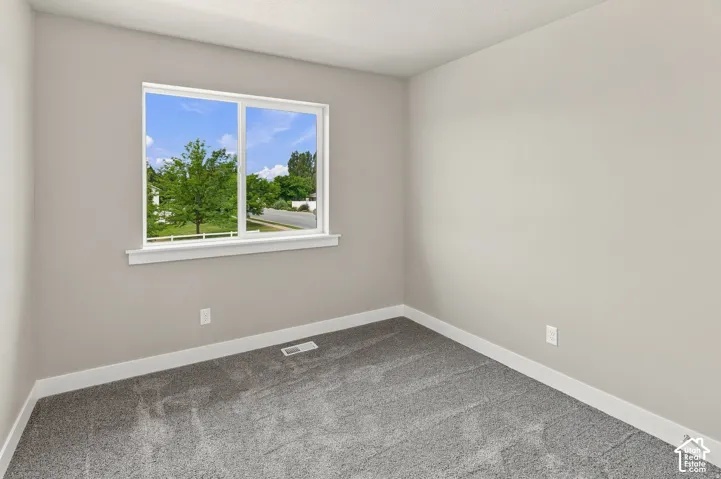 Neutral wall tones, plush gray carpeting, white trim, and a white-framed window