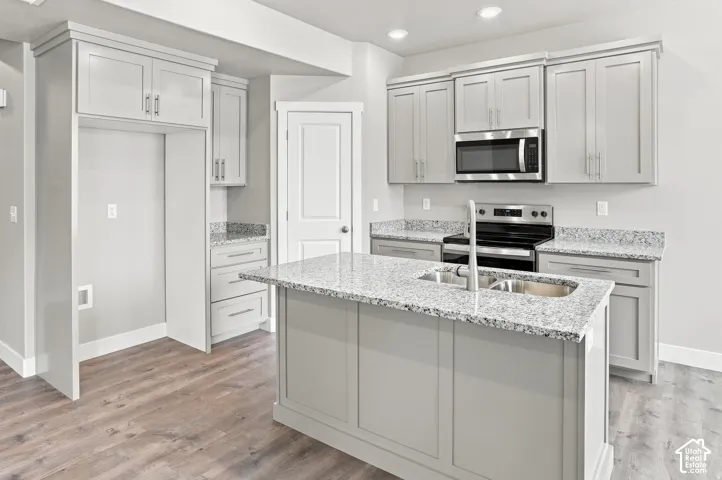 Kitchen featuring a central island with an undermount sink, granite countertops, gray shaker cabinetry, wood-finish flooring, and stainless steel appliances
