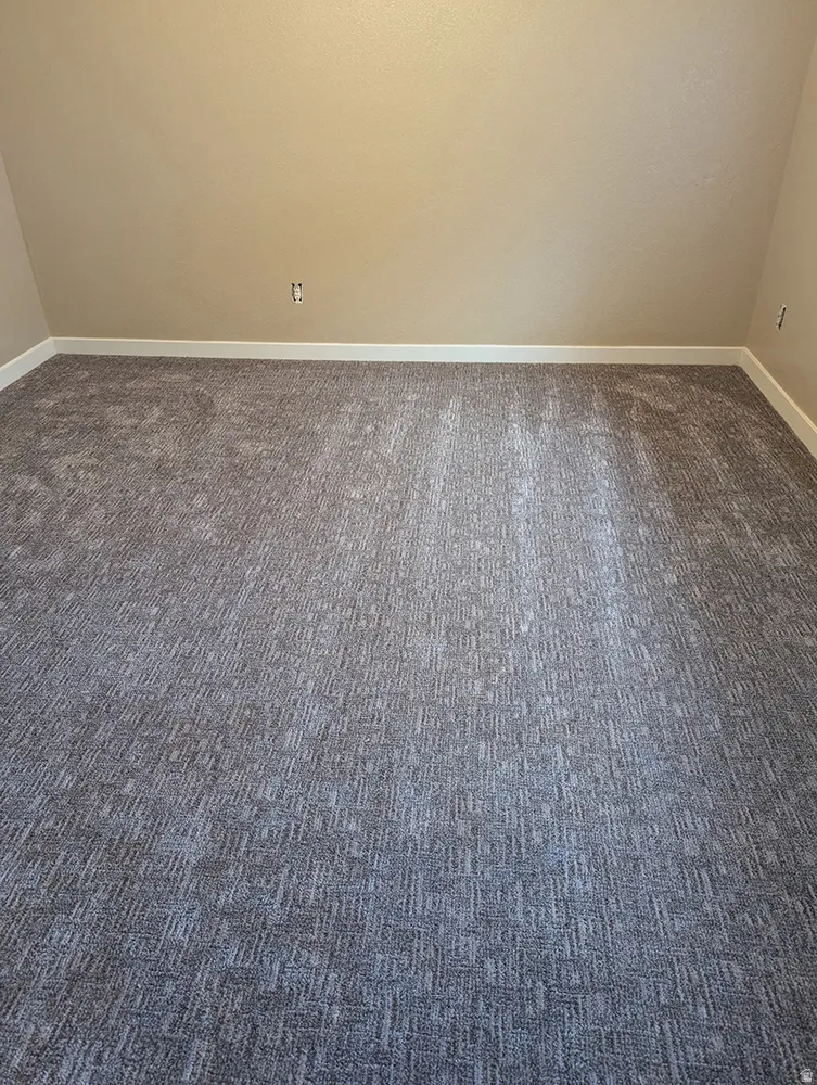 Textured wall finish, patterned carpeting, and crisp white trim