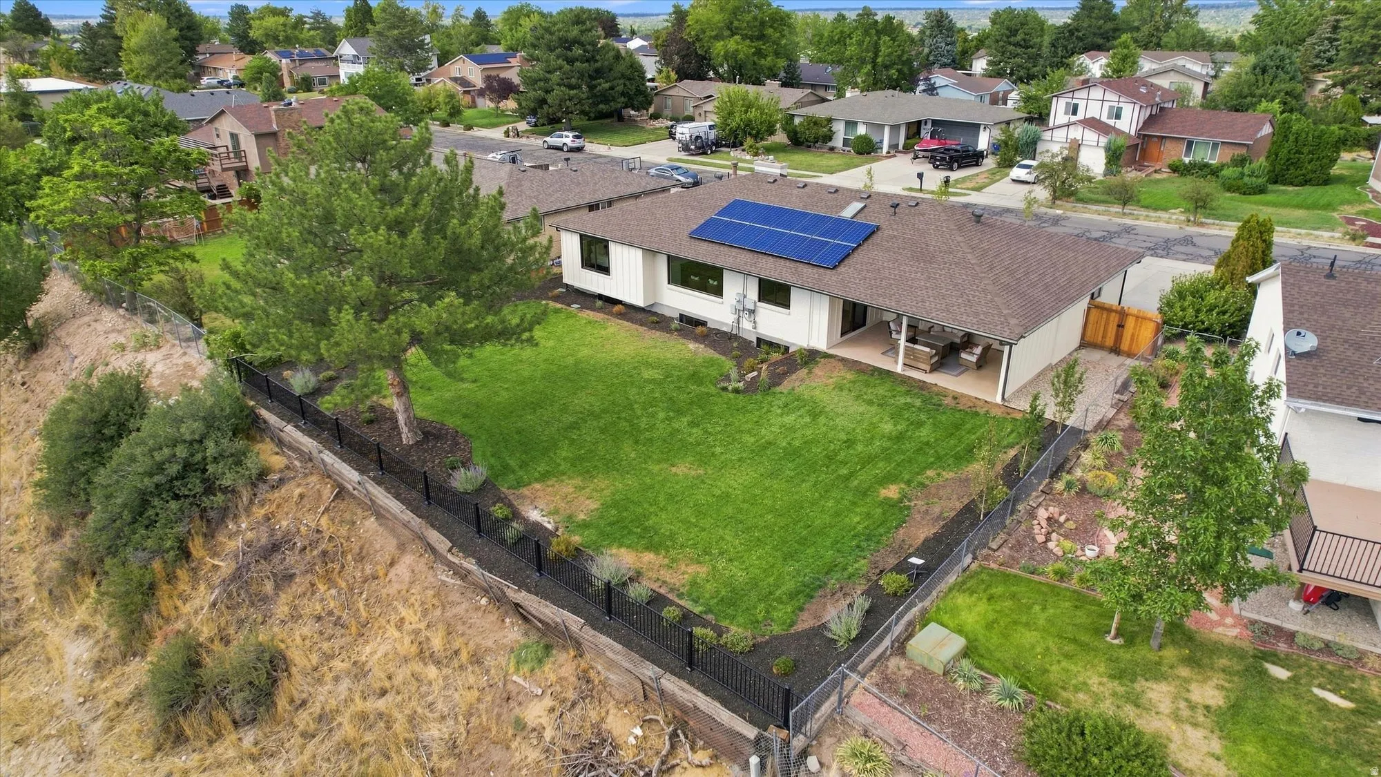 Expansive backyard with a manicured lawn, established landscaping, and a covered patio