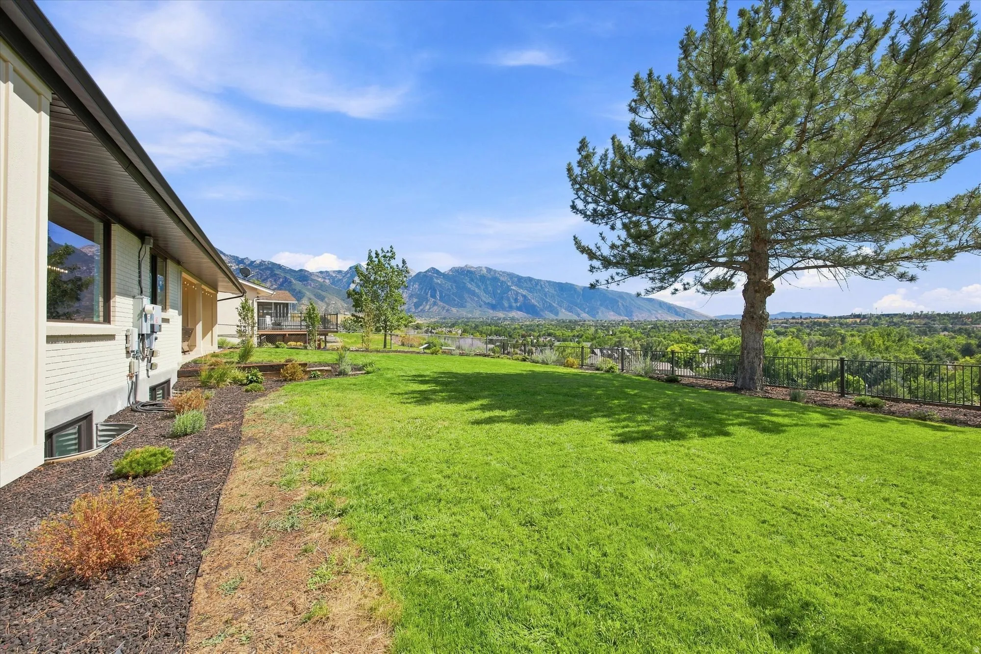 Expansive lawn bordered by a landscaped planting area, mature tree, and a black metal fence