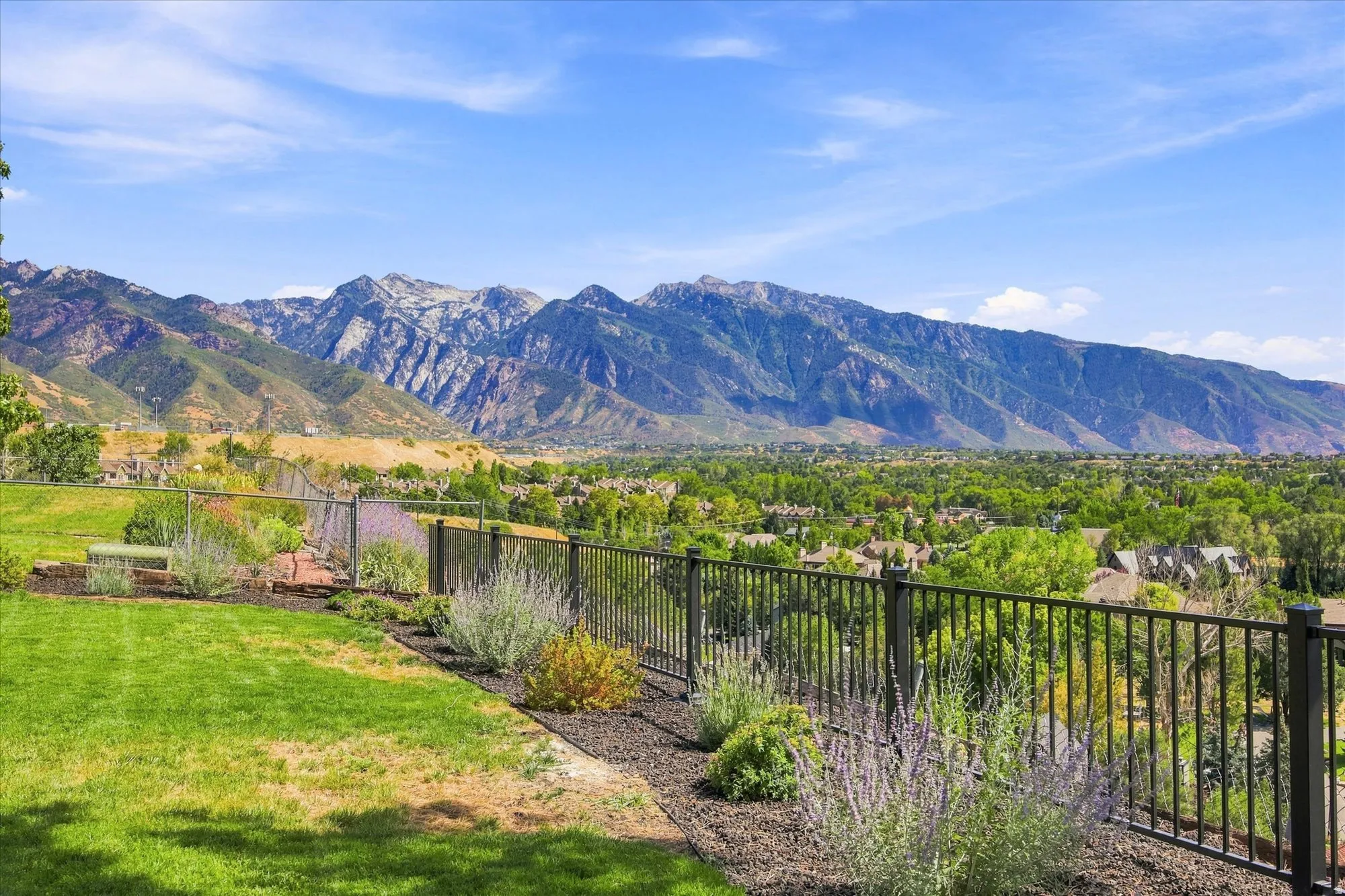 Expansive outdoor space featuring a manicured lawn, established landscaping, and a black metal fence