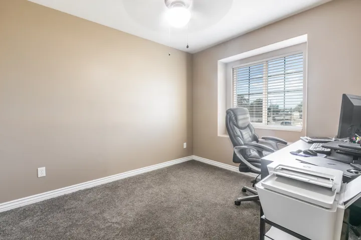Carpeted room with a window, white trim, and a ceiling fan