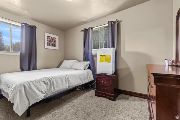 Neutral wall paint, carpet flooring, and two windows with curtain rods