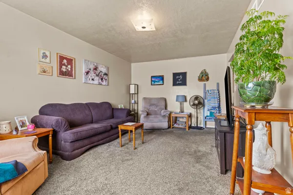 Carpeted flooring throughout, neutral wall paint, and a built-in ceiling light fixture