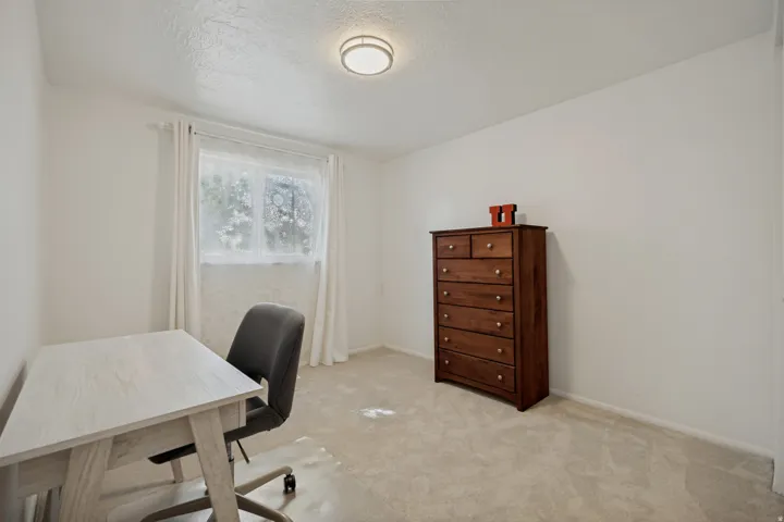 Recessed window, ceiling-mounted light fixture, and carpeted flooring