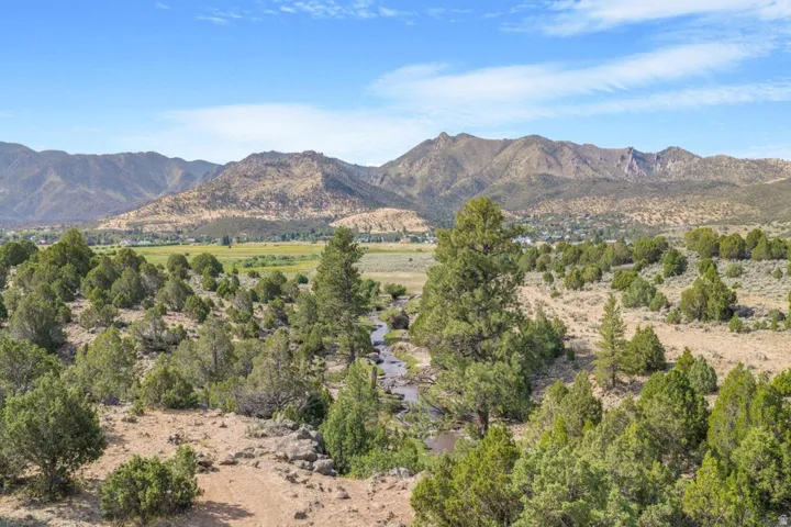 Expansive land featuring mature evergreen trees, diverse scrub brush, a natural stream, and distant mountain ranges