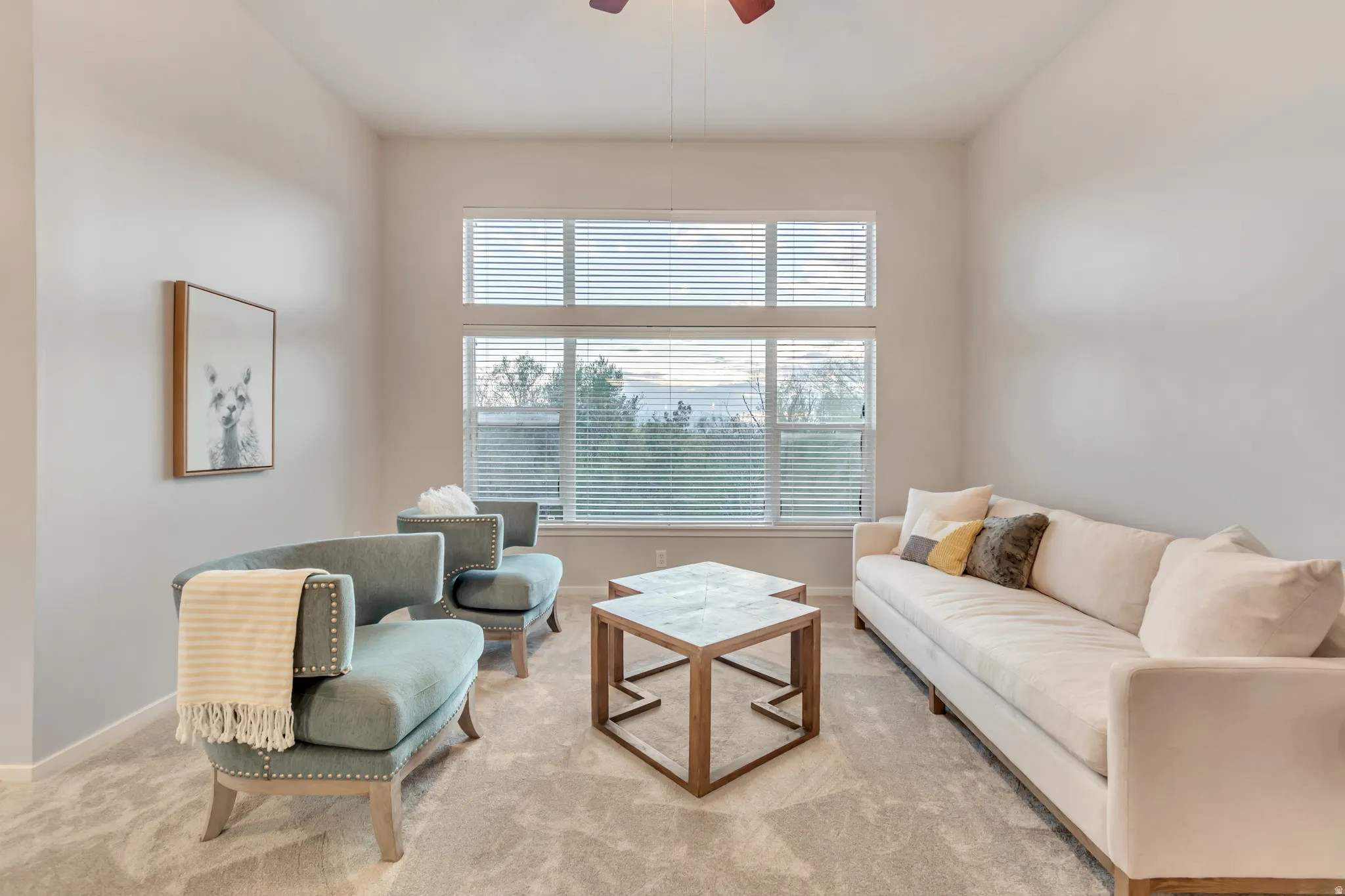 High ceilings with a ceiling fan, wall-to-wall carpeting, and a large window with horizontal blinds