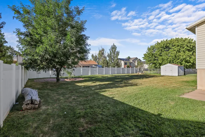 Expansive grassy yard with a privacy fence, mature trees, and a storage shed