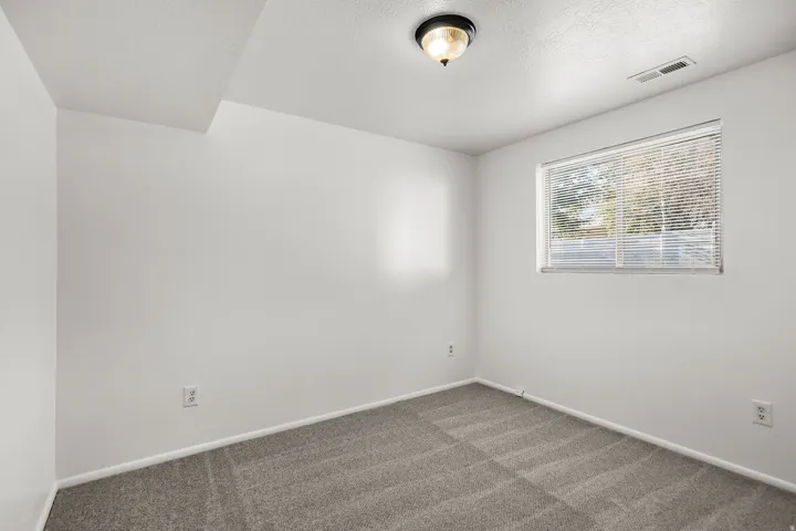Neutral wall paint, gray carpeting, window with blinds, and ceiling-mounted light fixture