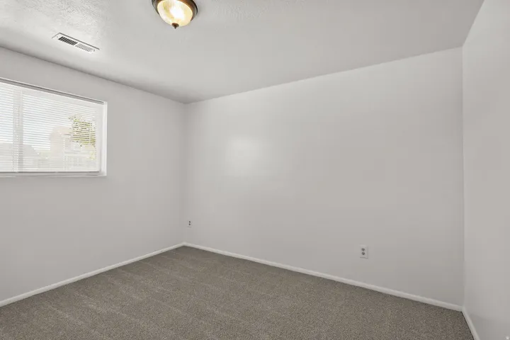 Recessed window with blinds, ceiling-mounted light fixture, and wall-to-wall carpeting