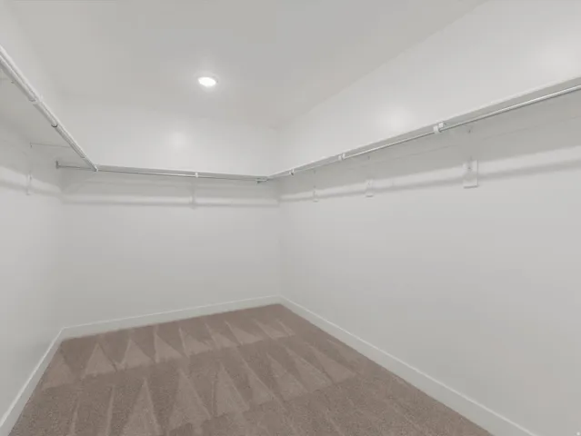 Primary Walk-in Closet