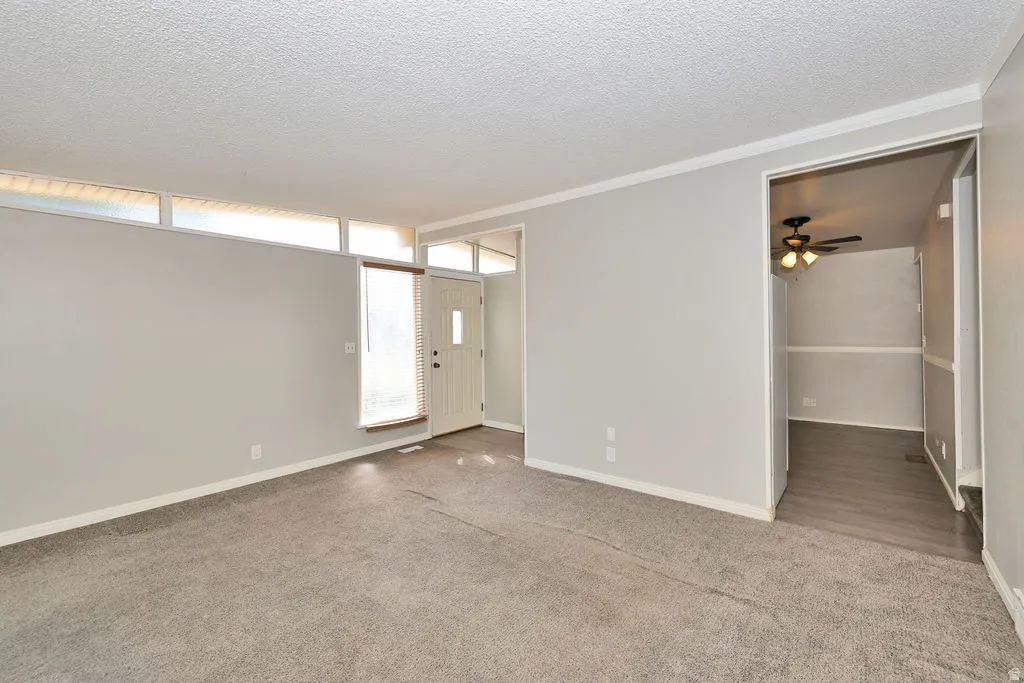 Spacious primary living area with neutral carpeting, abundant natural light from multiple windows, and a ceiling fan