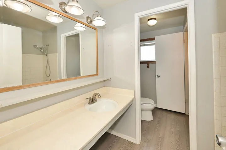 Extended vanity with integrated sink, brushed nickel faucet, large wall-mounted mirror, and wood-finish flooring
