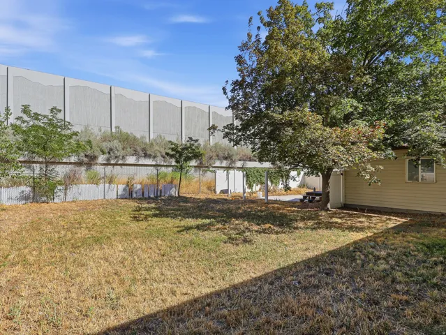 Expansive backyard featuring mature trees, a privacy wall, and a shaded patio area