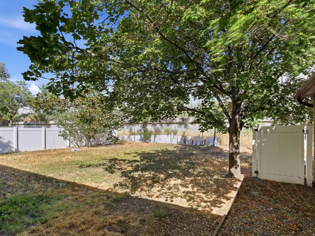 Expansive backyard featuring a mature tree, white privacy fencing, and a white gate