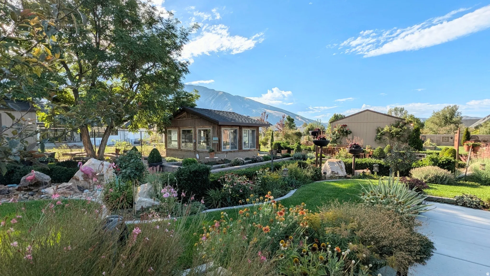 Photo of part of the stunning backyard + outbuildings (green house + sheds)