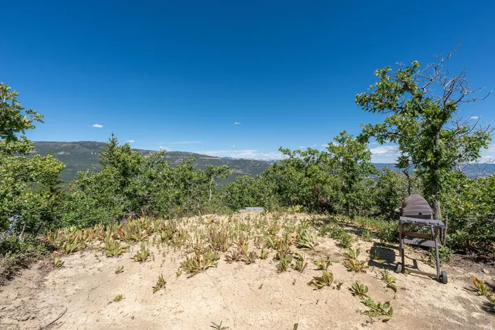 251 N Oak Cir, Springdale, Utah 84767