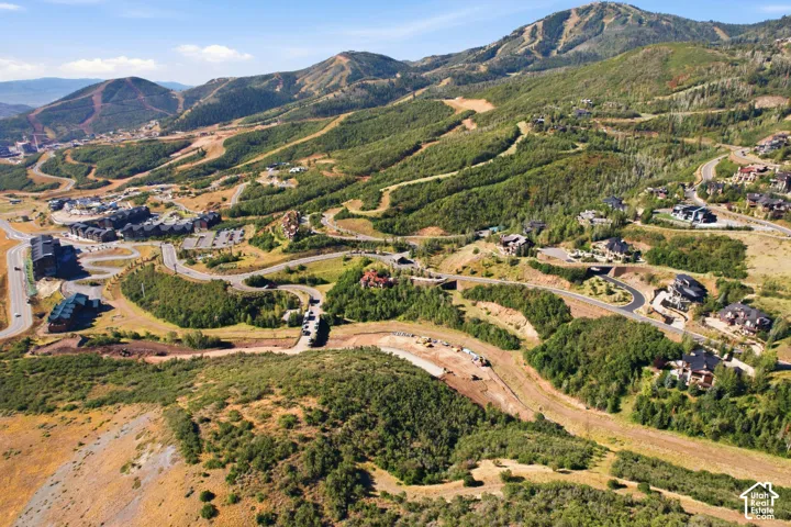 Mountainous terrain featuring diverse tree coverage, winding roads, and residential structures
