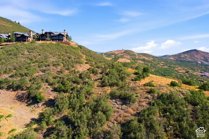 Terraced stone exterior with multiple chimneys and dark-framed windows situated on a brush-covered hillside