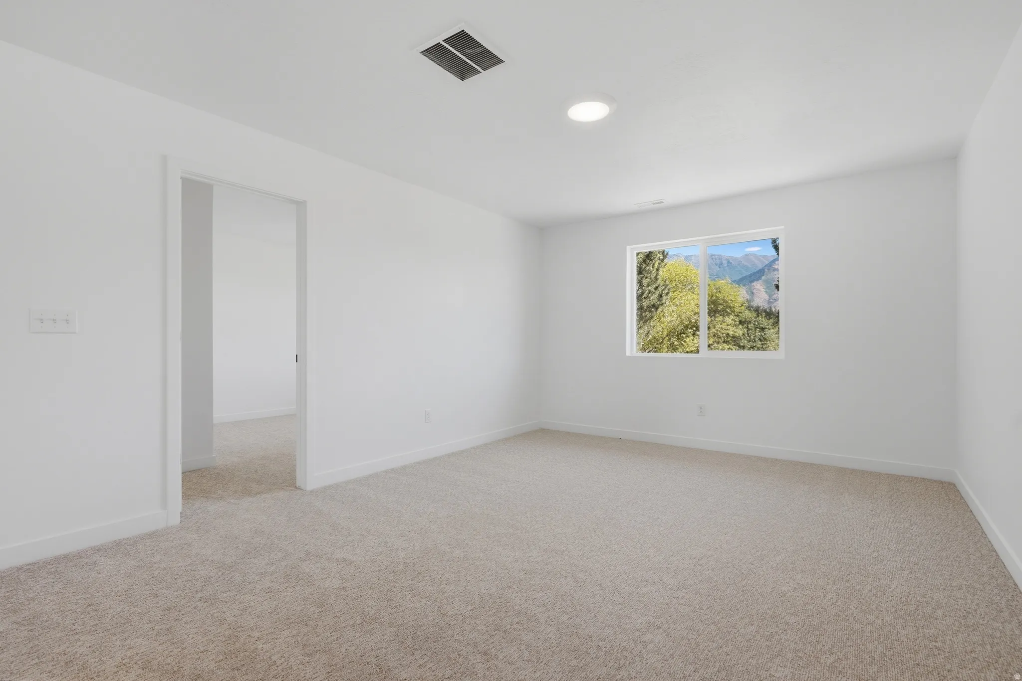 Carpeted interior space with a window offering a scenic mountain and tree backdrop