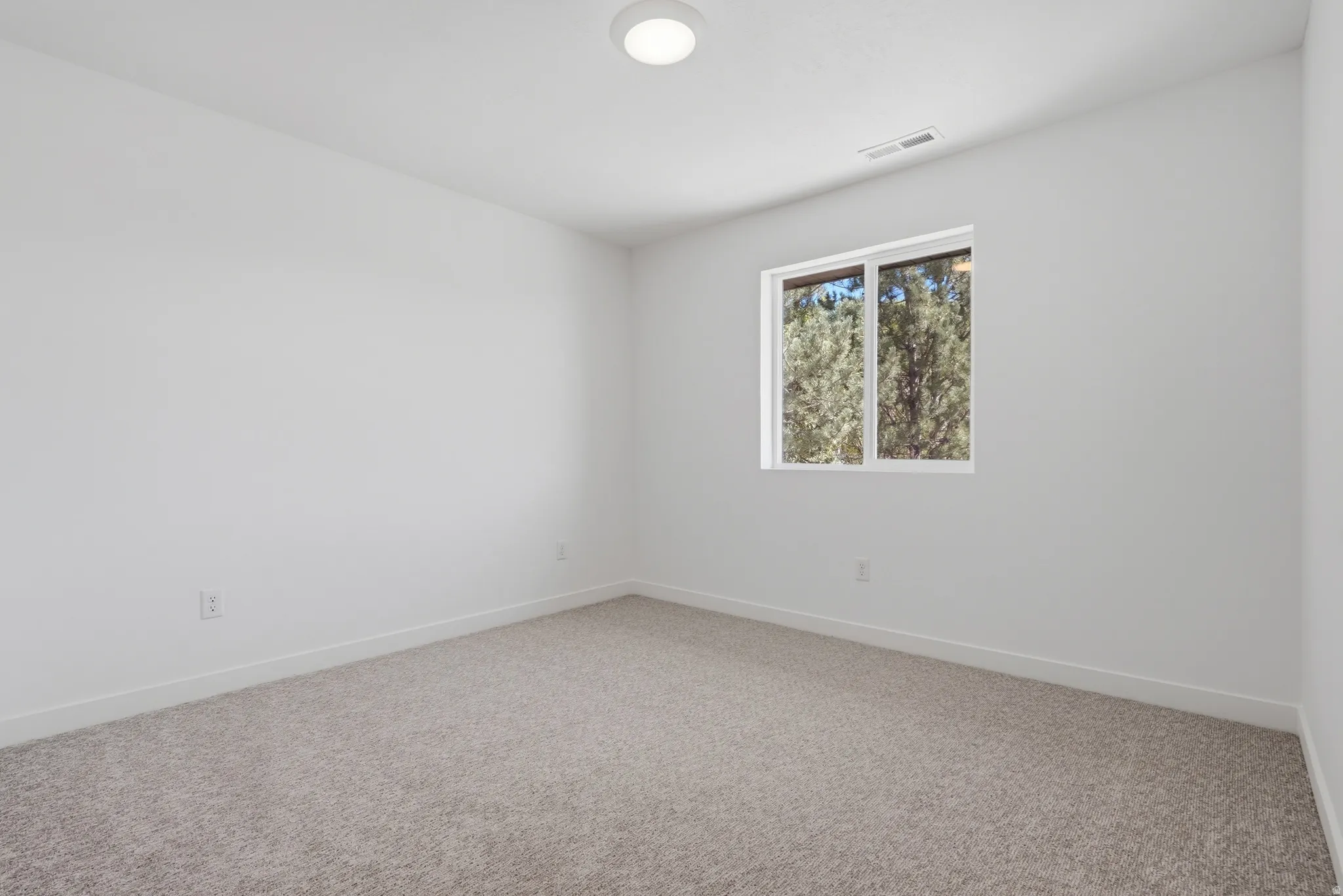 White walls with a light-colored carpet