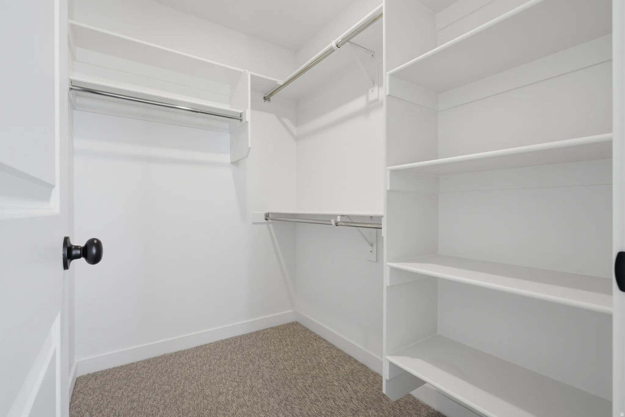 Walk-in closet featuring white built-in shelving, multiple hanging rods, and carpet flooring