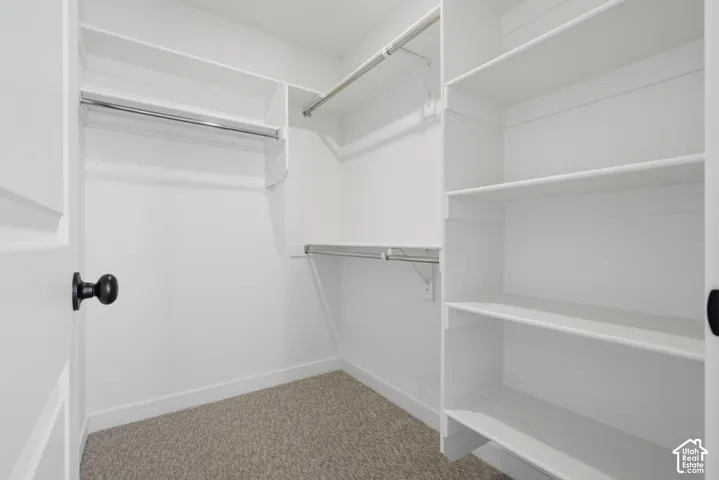 Walk-in closet featuring white built-in shelving, multiple hanging rods, and carpet flooring