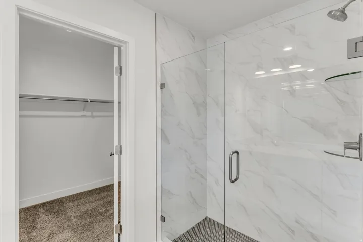 Spacious walk-in closet with carpeted flooring