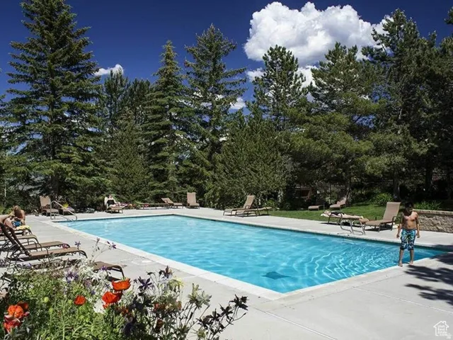 Outdoor swimming pool with concrete surround