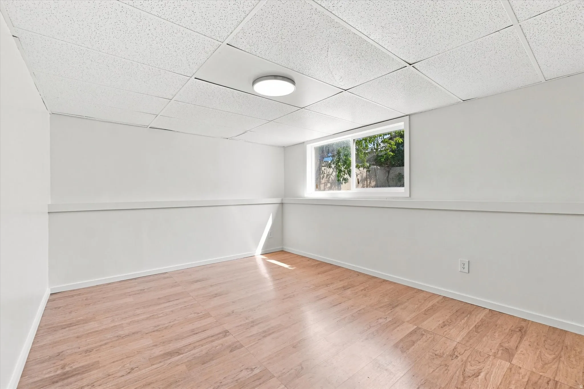 Light wood-finish flooring, white walls, drop ceiling, and a single window